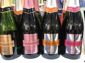 请老外喝国产红酒视频,探索国产红酒的魅力之旅