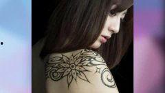 国产明星 大片视频在线,大片盛宴在线放送