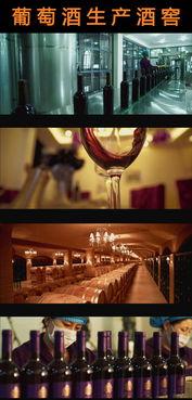国产葡萄酒酿造视频播放,从葡萄园到酒杯的华丽蜕变