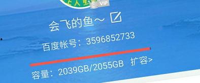 国产经典视频 百度云,云端回响，岁月留声