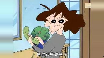 经典国产动画教育视频,传承文化，启迪智慧