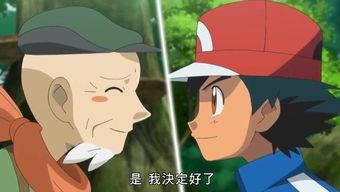 国产动画片怀旧合集视频,国产动画片怀旧合集