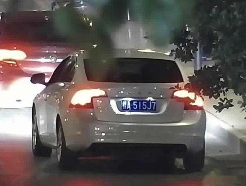 国产车违停视频真实
